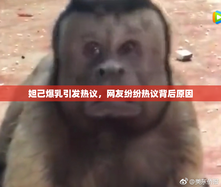 妲己爆乳引发热议，网友纷纷热议背后原因