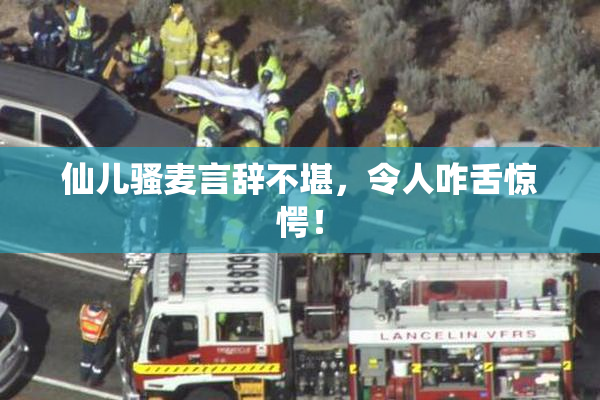 仙儿骚麦言辞不堪，令人咋舌惊愕！