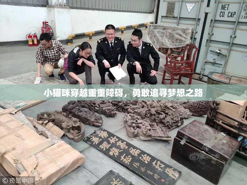 小猫咪穿越重重障碍，勇敢追寻梦想之路