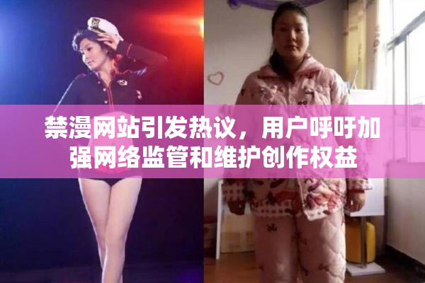 禁漫网站引发热议，用户呼吁加强网络监管和维护创作权益