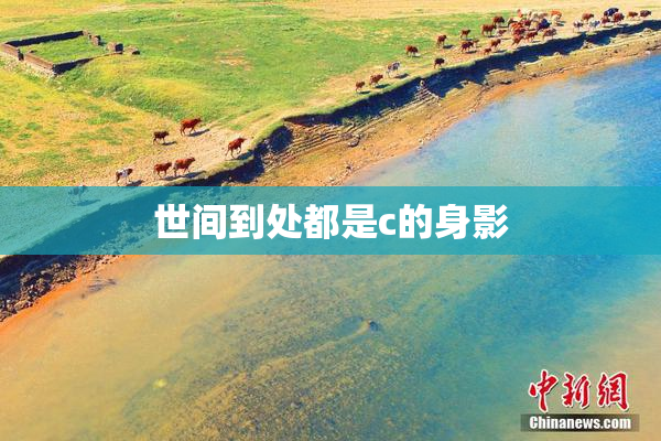世间到处都是c的身影