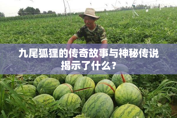 九尾狐狸的传奇故事与神秘传说揭示了什么？