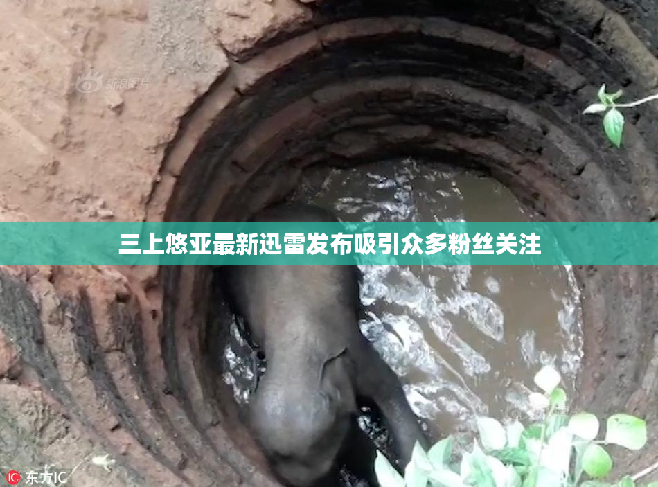 三上悠亚最新迅雷发布吸引众多粉丝关注