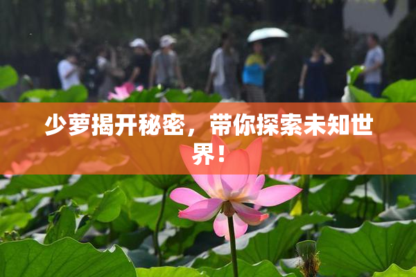少萝揭开秘密，带你探索未知世界！