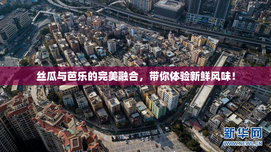 丝瓜与芭乐的完美融合，带你体验新鲜风味！