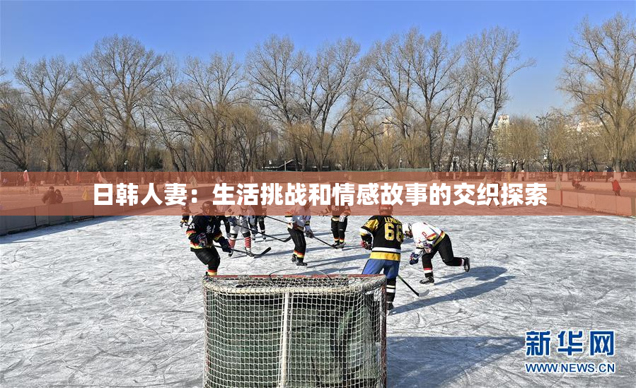 日韩人妻：生活挑战和情感故事的交织探索