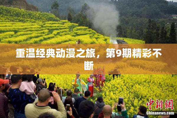 重温经典动漫之旅，第9期精彩不断