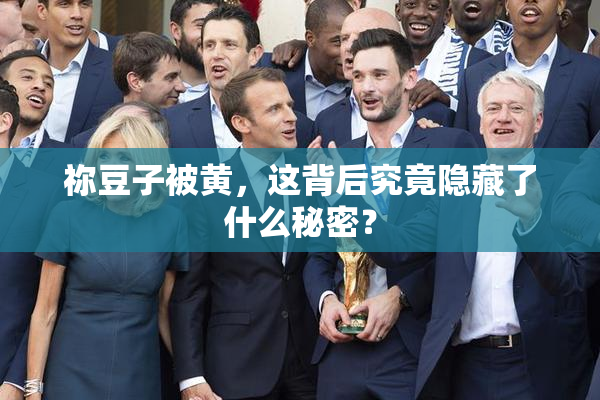 祢豆子被黄，这背后究竟隐藏了什么秘密？