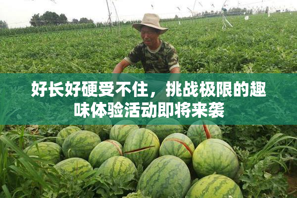 好长好硬受不住，挑战极限的趣味体验活动即将来袭