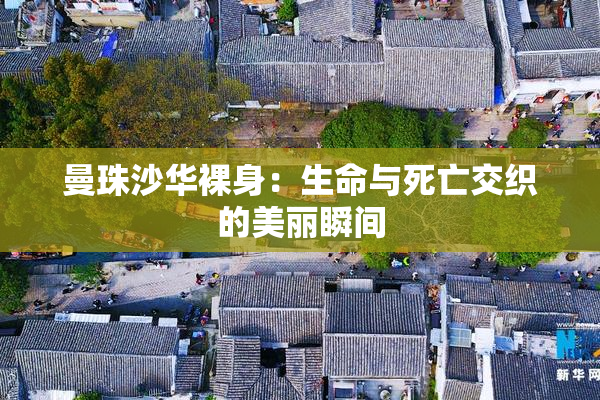 曼珠沙华裸身：生命与死亡交织的美丽瞬间