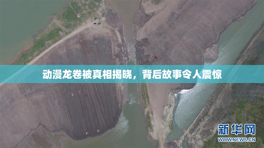 动漫龙卷被真相揭晓，背后故事令人震惊