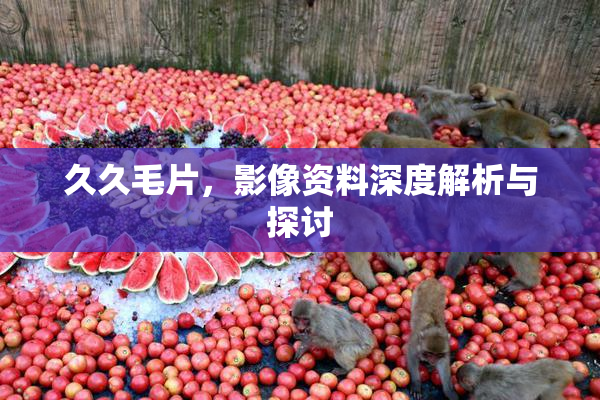 久久毛片，影像资料深度解析与探讨