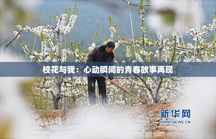 校花与我：心动瞬间的青春故事再现