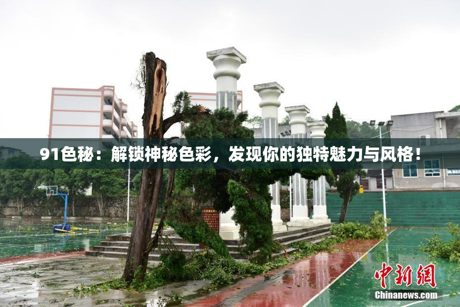 91色秘：解锁神秘色彩，发现你的独特魅力与风格！