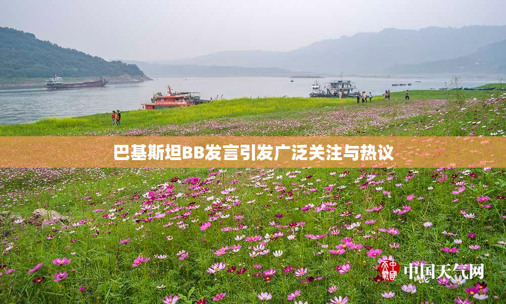 巴基斯坦BB发言引发广泛关注与热议