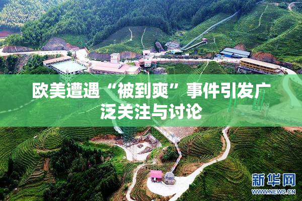 欧美遭遇“被到爽”事件引发广泛关注与讨论