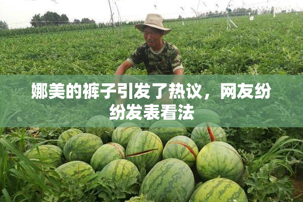 娜美的裤子引发了热议，网友纷纷发表看法