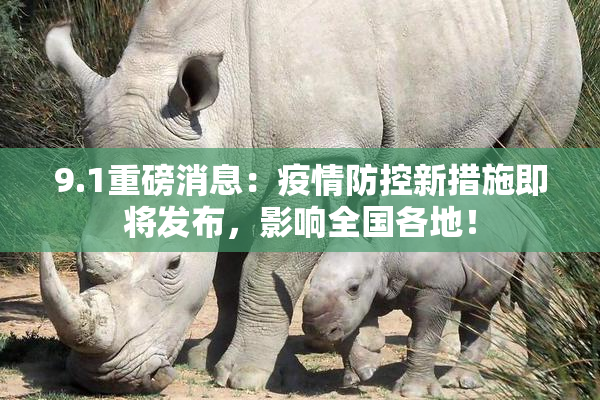 9.1重磅消息：疫情防控新措施即将发布，影响全国各地！