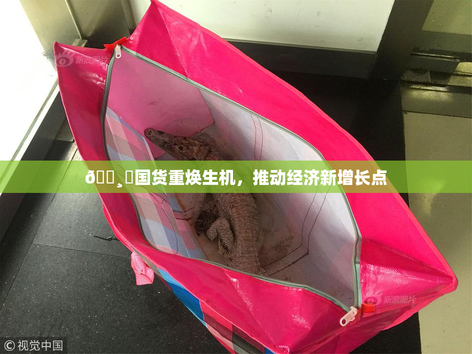 🌸‌国货重焕生机，推动经济新增长点