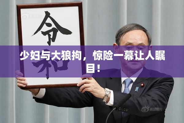 少妇与大狼拘，惊险一幕让人瞩目！