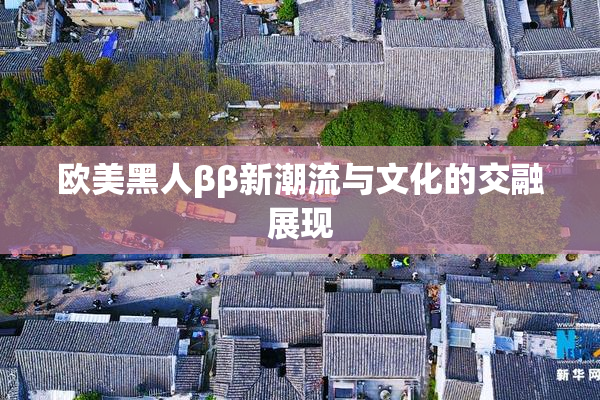 欧美黑人ββ新潮流与文化的交融展现