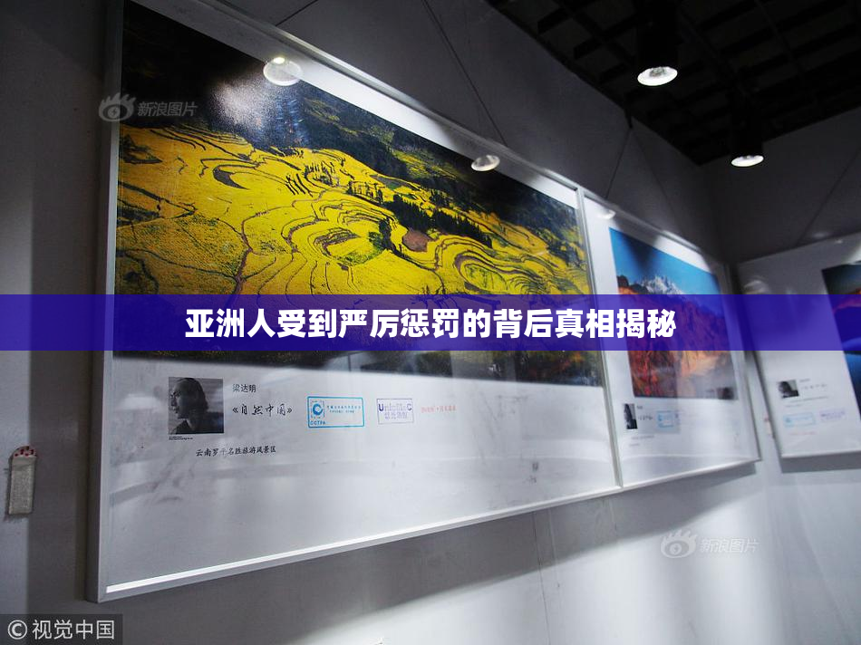 亚洲人受到严厉惩罚的背后真相揭秘