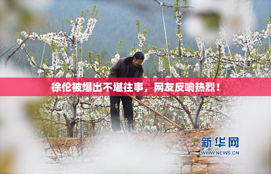 徐伦被爆出不堪往事，网友反响热烈！