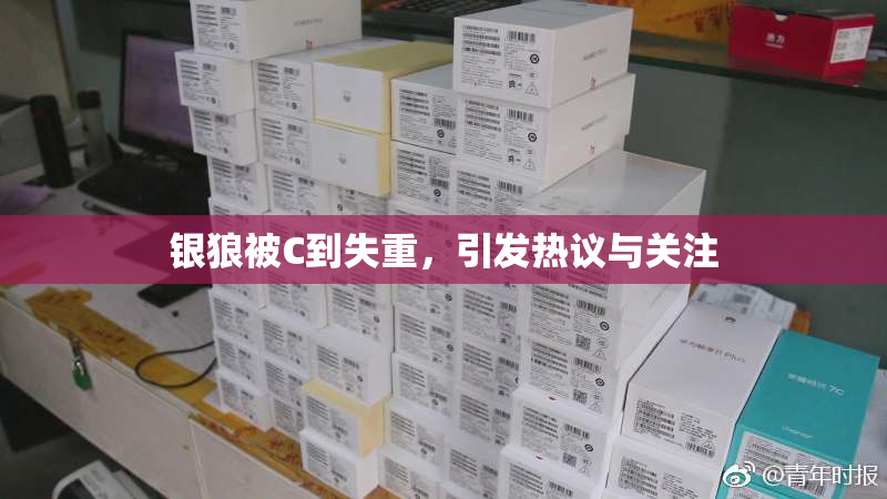 银狼被C到失重，引发热议与关注