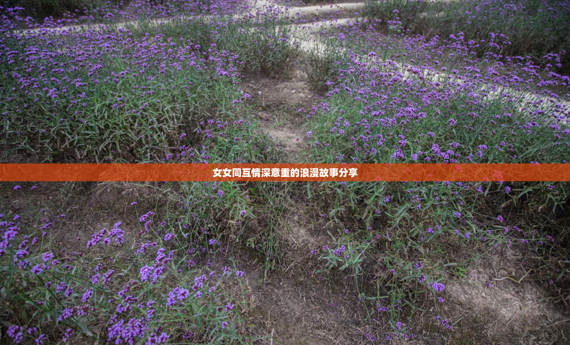 女女同互情深意重的浪漫故事分享