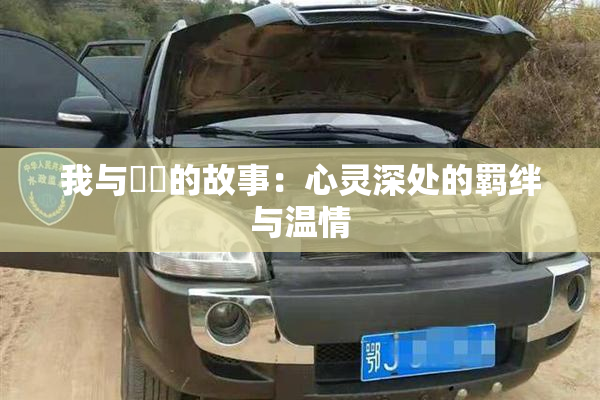 我与妺妺的故事：心灵深处的羁绊与温情