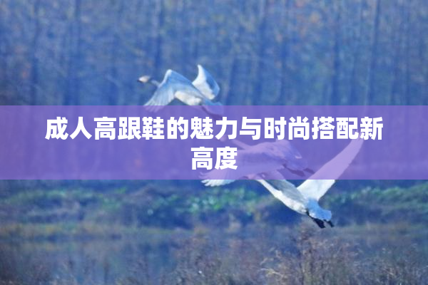 成人高跟鞋的魅力与时尚搭配新高度