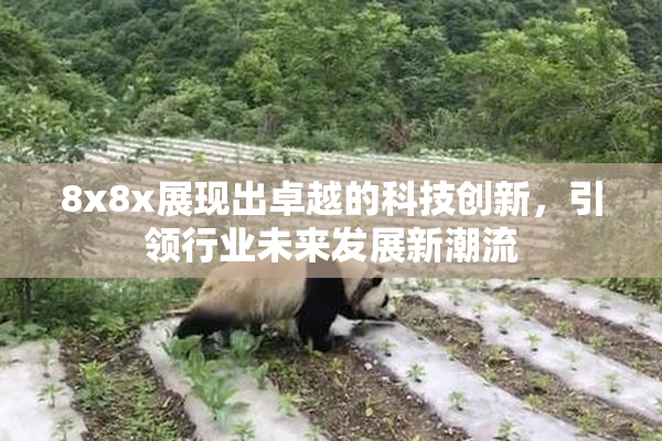 8x8x展现出卓越的科技创新，引领行业未来发展新潮流