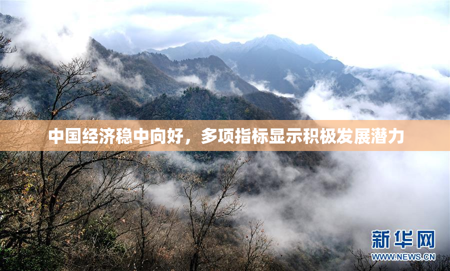 中国经济稳中向好，多项指标显示积极发展潜力