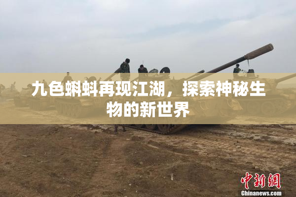 九色蝌蚪再现江湖，探索神秘生物的新世界