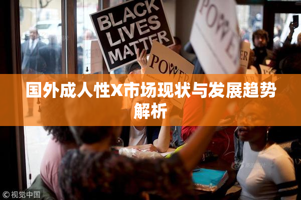 国外成人性X市场现状与发展趋势解析