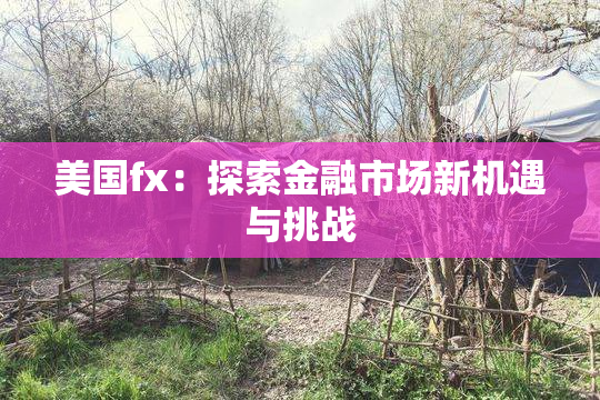美国fx：探索金融市场新机遇与挑战