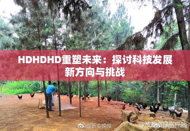 HDHDHD重塑未来：探讨科技发展新方向与挑战