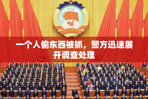 一个人偷东西被抓，警方迅速展开调查处理