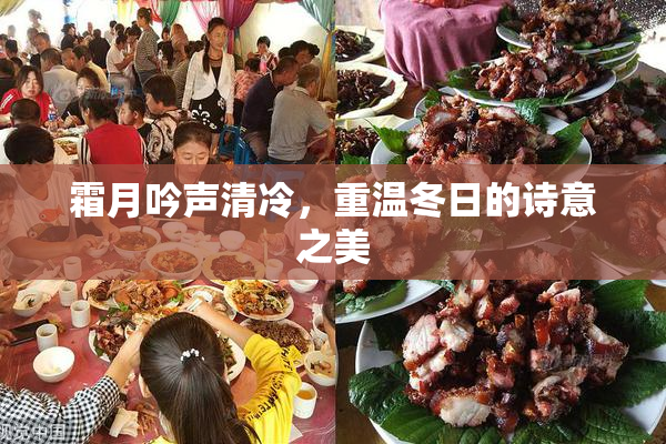 霜月吟声清冷，重温冬日的诗意之美