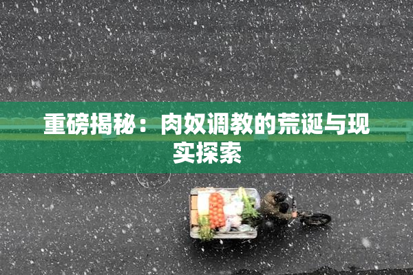 重磅揭秘：肉奴调教的荒诞与现实探索