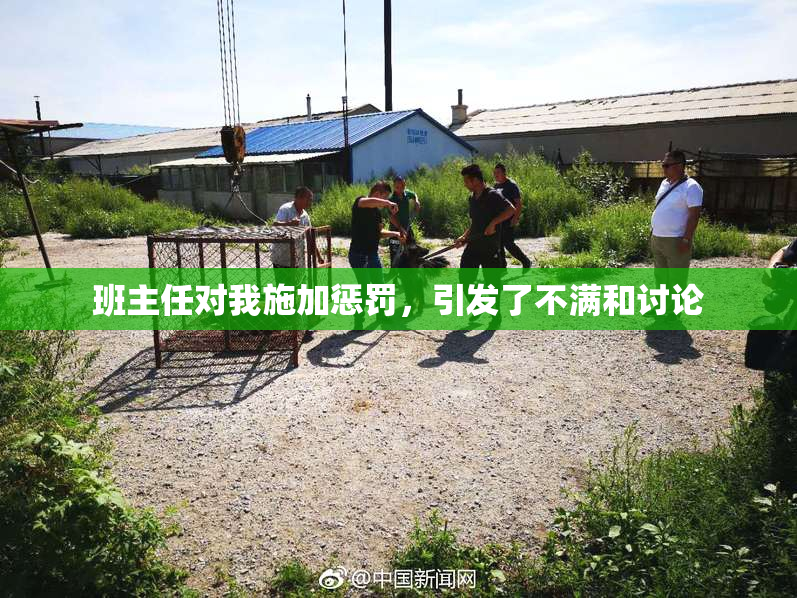班主任对我施加惩罚，引发了不满和讨论