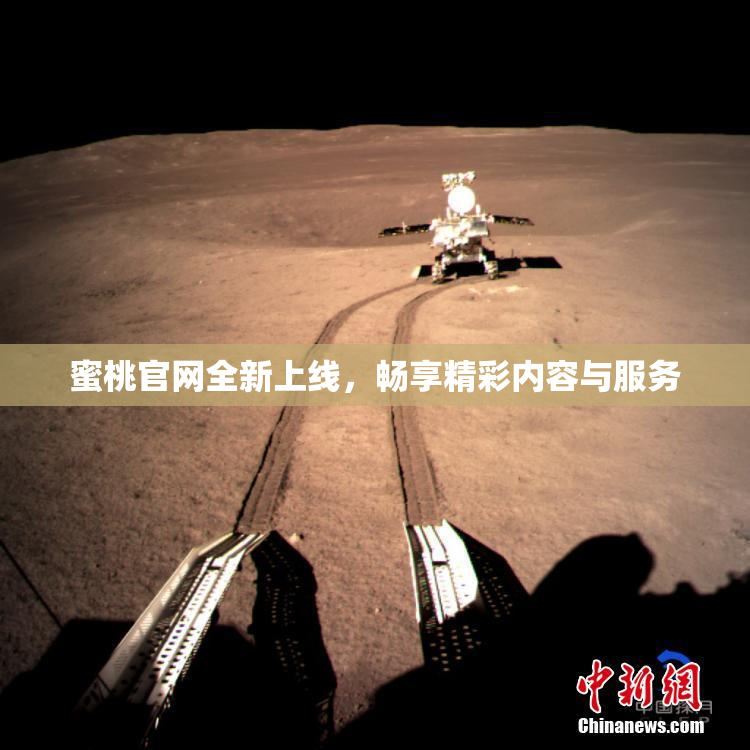 蜜桃官网全新上线，畅享精彩内容与服务
