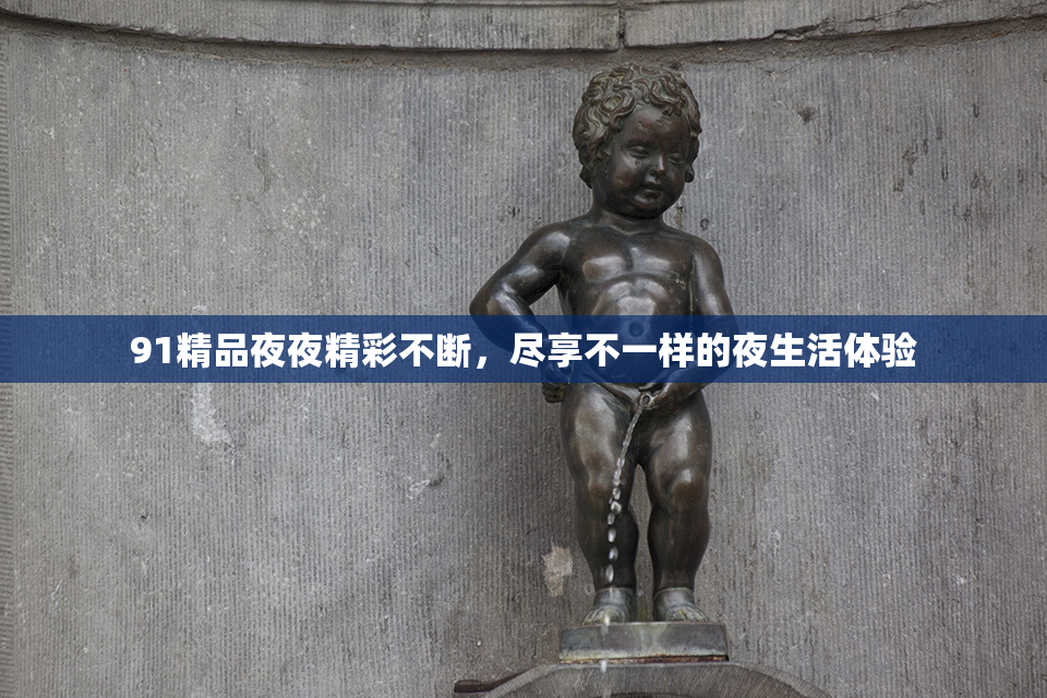 91精品夜夜精彩不断，尽享不一样的夜生活体验