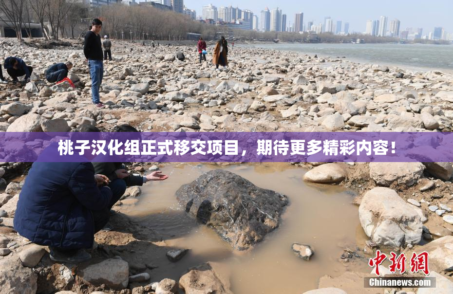 桃子汉化组正式移交项目，期待更多精彩内容！