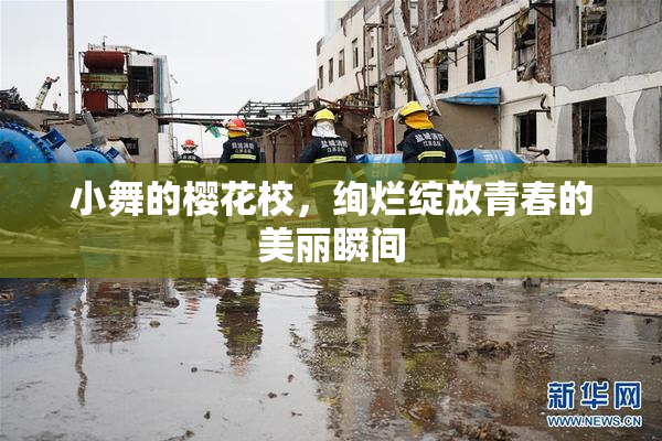 小舞的樱花校，绚烂绽放青春的美丽瞬间