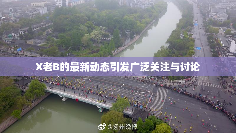 X老B的最新动态引发广泛关注与讨论