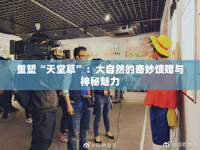 重塑“天堂草”：大自然的奇妙馈赠与神秘魅力