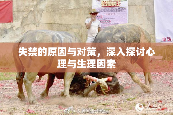 失禁的原因与对策，深入探讨心理与生理因素