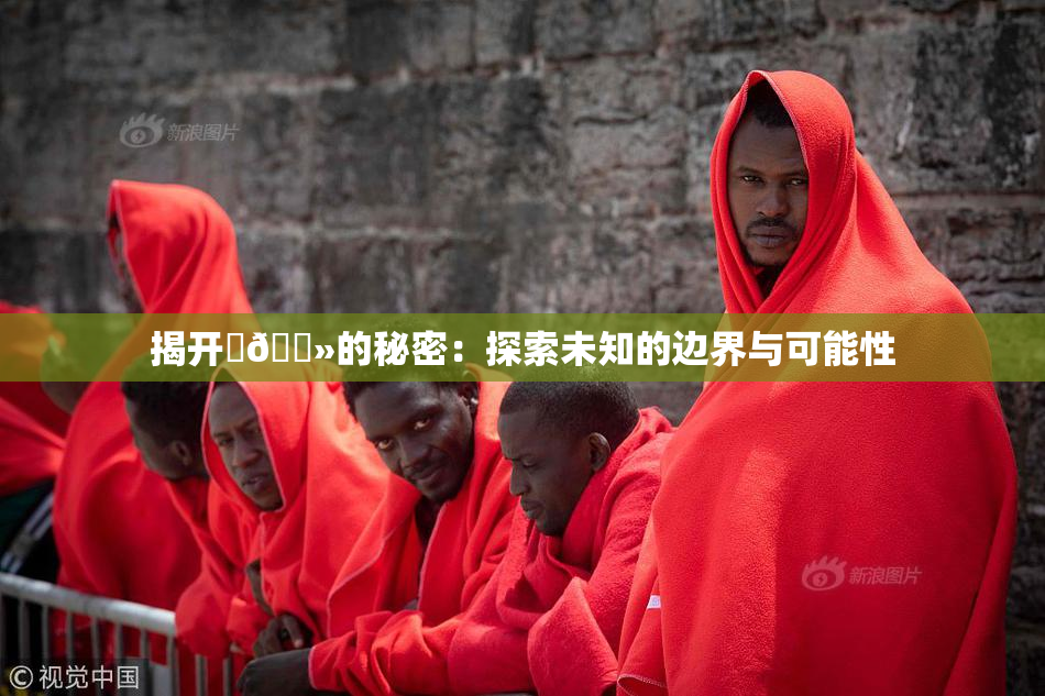 揭开‌🐻的秘密：探索未知的边界与可能性