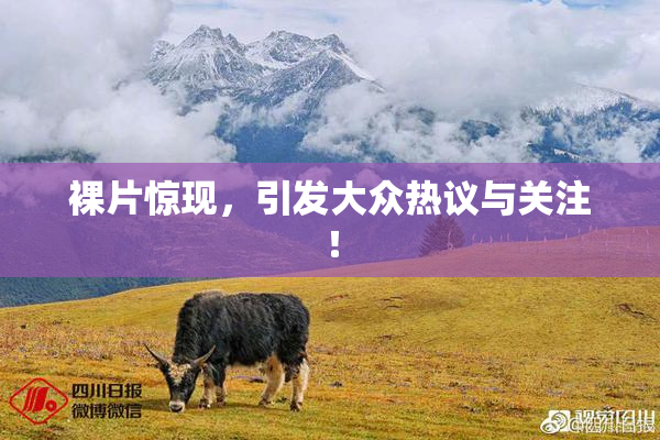 裸片惊现，引发大众热议与关注！